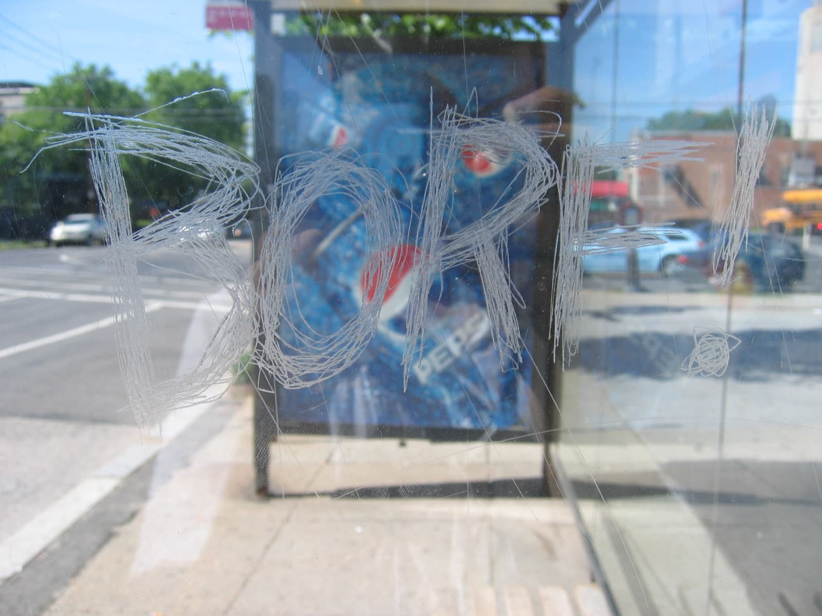 Scratch graffiti carved into the glass panel of a city bus shelter — the vandalism a sacrificial clear film absorbs