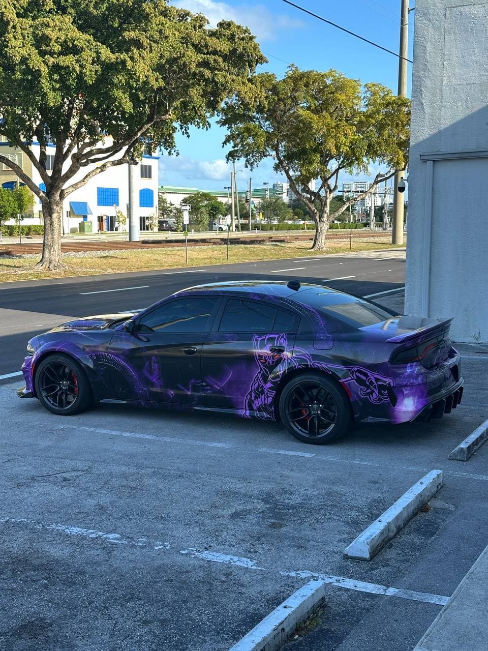 Black Panther custom graphic wrap